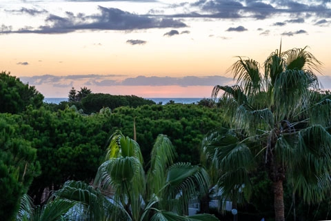 Apartment Sol y Mar Chiclana de la Frontera - klein - 4:3 - 1